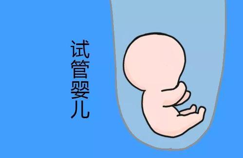 陈副主任医师